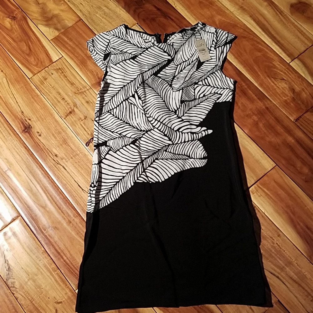 Loft Shift dress